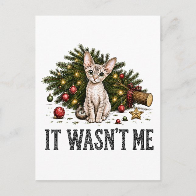 Carte Postale Chats drôles de Devon Rex Noël C'était pas moi (Devant)