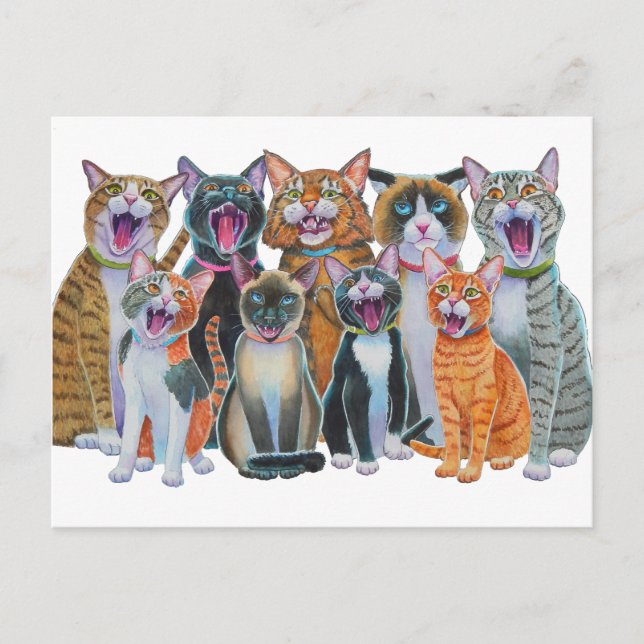 Carte Postale Chats en carrosserie (Devant)