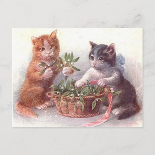 Carte Postale Chats et Gui (Devant)