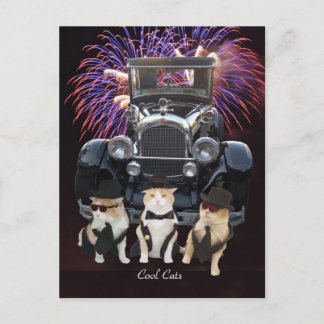 Carte Postale Chats frais