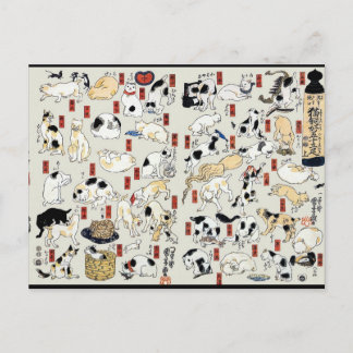 Carte Postale Chats Galore