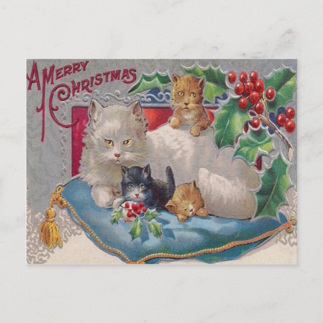 Carte Postale Chats & Holly (Devant)