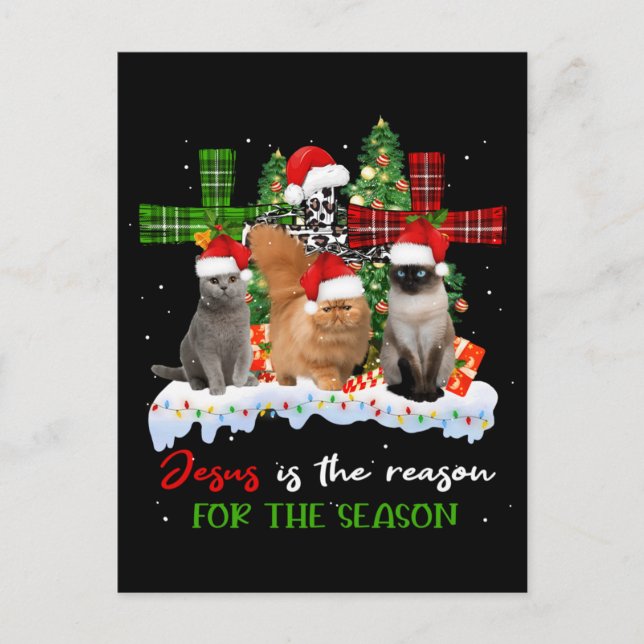 Carte Postale Chats Jésus Est La Raison De La Saison Noël Vilain (Devant)