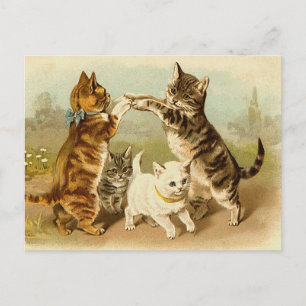 Carte Postale Chats jouant l'illustration vintage
