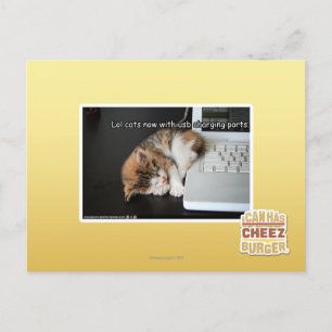 Carte Postale Chats Lol avec USB