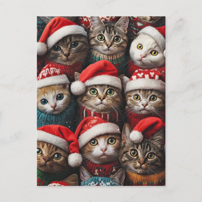 Carte Postale Chats mignons en chapeaux de Noël Animaux de Noël (Devant)