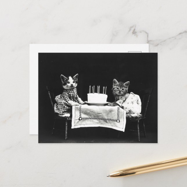 Carte Postale Chats Mignons Gâteau D'anniversaire (Devant/Arrière en situation)