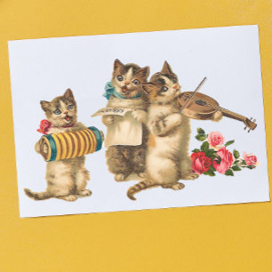 Carte Postale Chats musicaux