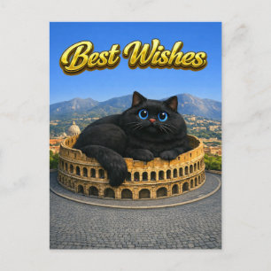 Carte Postale Chats Noir Géant Drôle Colisée Romain Meilleurs Vœ