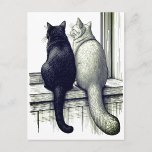 Carte Postale Chats noirs et blancs à la fenêtre