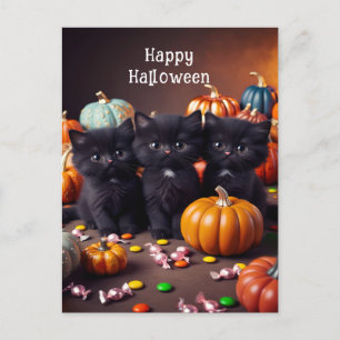 Carte Postale Chats noirs et scène nocturne Citrouille d'Hallowe