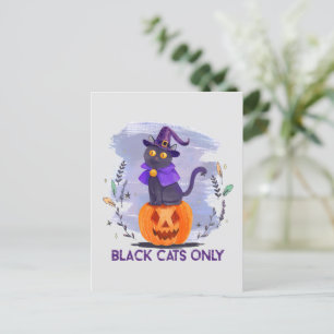 Carte Postale Chats noirs seulement - Chat sorcier sur Jack-O’-L
