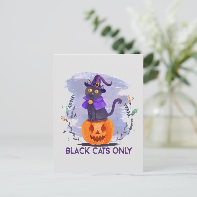 Carte Postale Chats noirs seulement - Chat sorcier sur Jack-O’-L (Debout devant)