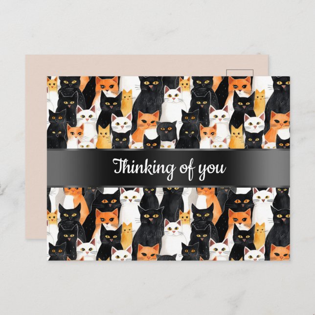 Carte Postale Chats Orange Noir Blanc Penser à vous (Devant / Derrière)