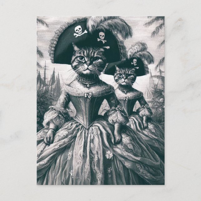 Carte Postale Chats Pirate Cute (Devant)