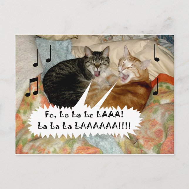 Carte Postale Chats qui chantent (Devant)