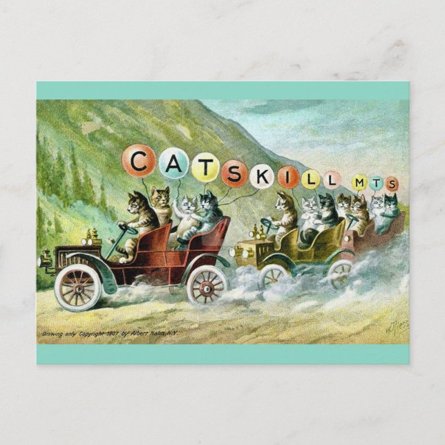 Carte Postale Chats rares des montagnes de Catskill (Devant)