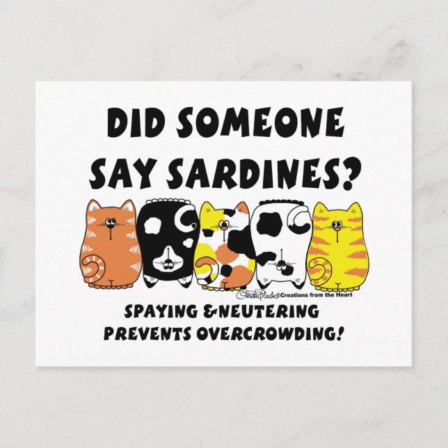 Carte Postale Chats Sardine (Devant)