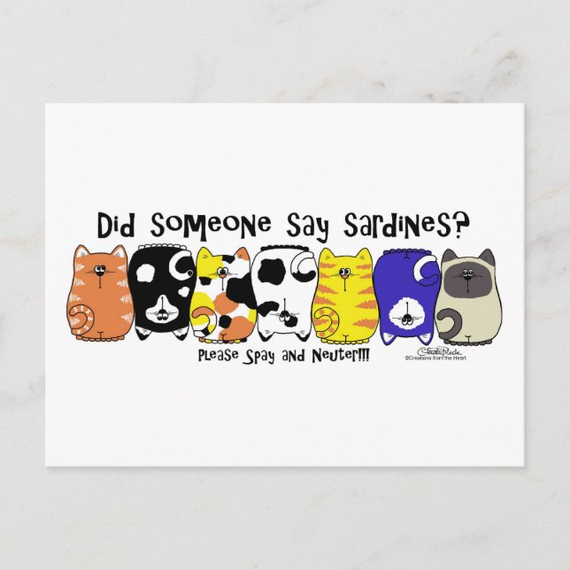 Carte Postale Chats Sardine (Devant)