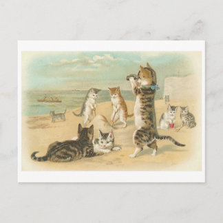 Carte Postale "Chats sur la plage" Vintage