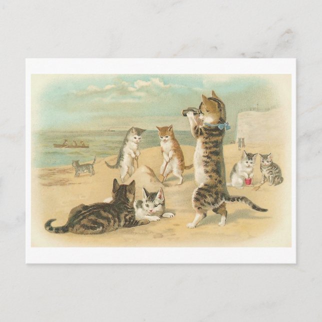 Carte Postale "Chats sur la plage" Vintage (Devant)