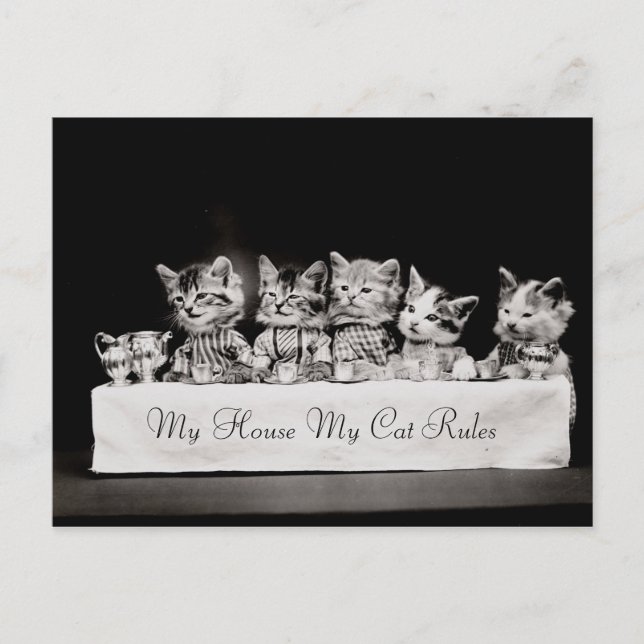 Carte Postale Chats Thé Vintage habillé (Devant)