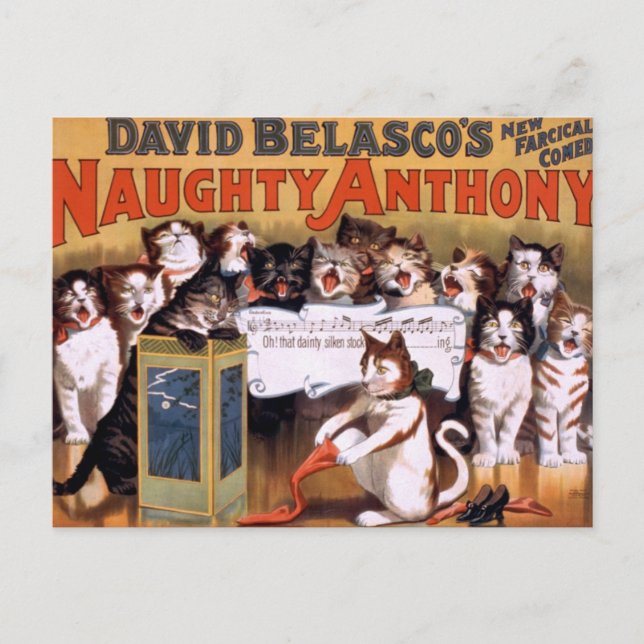 Carte postale Chats vintages (Devant)