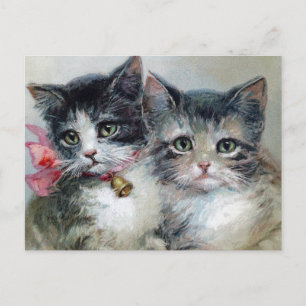 Carte postale Chats vintages