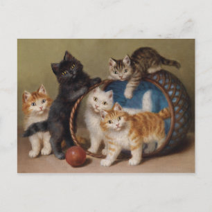 Carte Postale Chats vintages Chatons Sophie Sperlich La Balle Ro