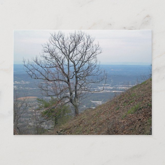 Carte Postale Chattanooga, Tennessee 001 (Devant)