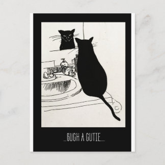 Carte Postale chatte