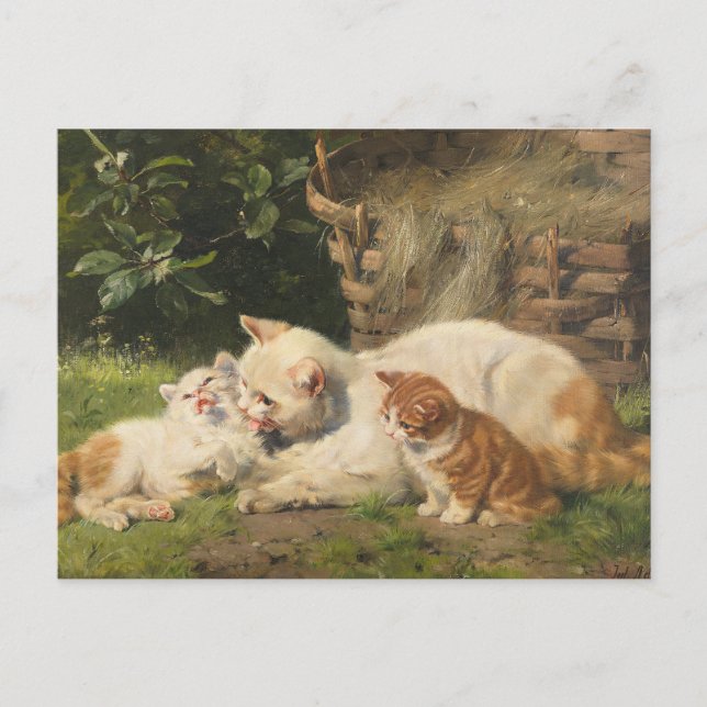 Carte Postale Chatte avec chatons | Julius Adam le Jeune (Devant)