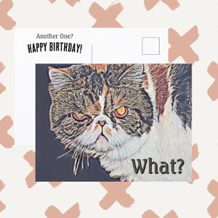 Carte Postale Chatte Grognon Grincheuse Drôle Anniversaire