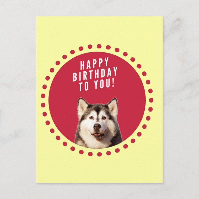 Carte Postale Chatte Sibérien Husky Chien Joyeux Anniversaire (Devant)