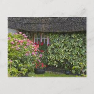 Carte Postale Chaumière, Adare, comté de Limerick,
