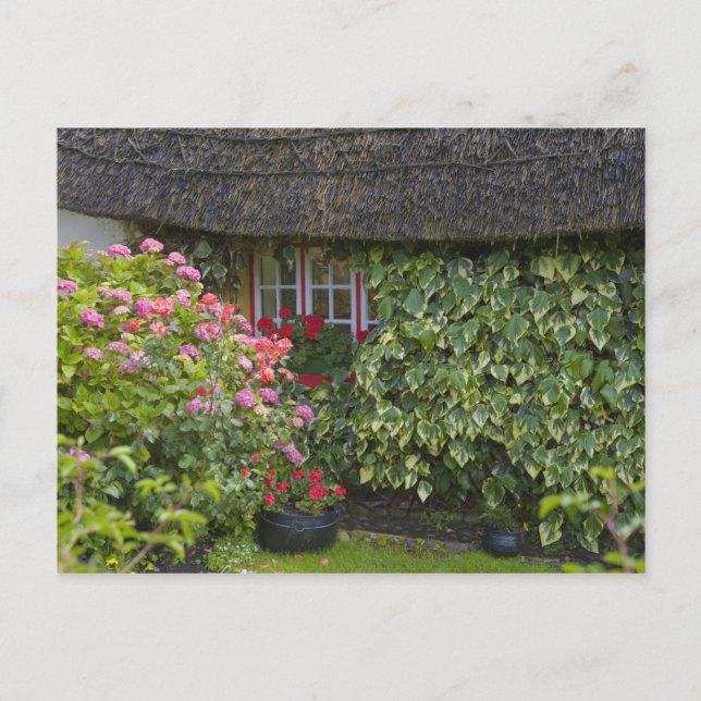 Carte Postale Chaumière, Adare, comté de Limerick, (Devant)