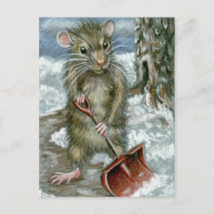 Carte Postale Chaussure de rat