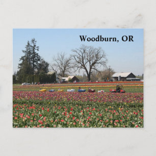 Carte Postale Chaussure Train