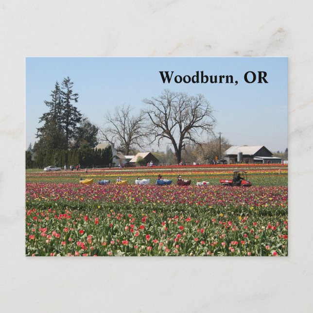 Carte Postale Chaussure Train (Devant)