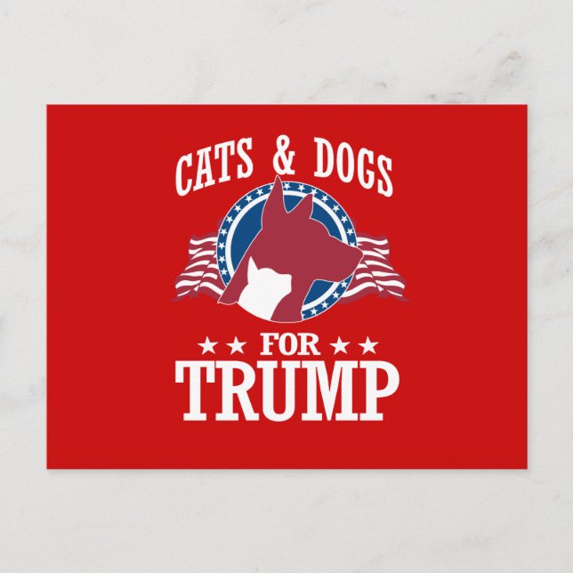 CARTE POSTALE CHAUSSURES ET CHIENS POUR TRUMP (Devant)