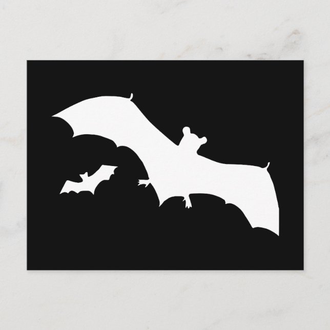 Carte Postale Chauves-souris d'Halloween (Devant)