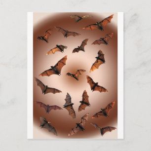 Carte Postale Chauves-souris éffrayantes d'Halloween (renards vo