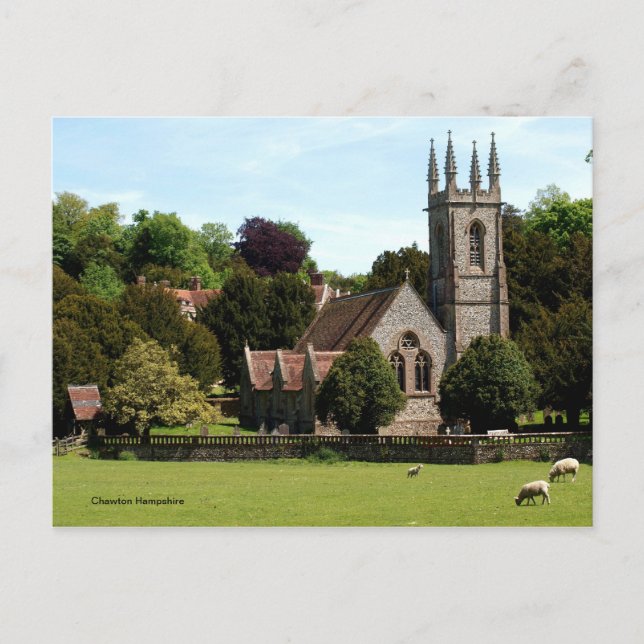 Carte Postale Chawton Hampshire - Mouton à côté de l'église (Devant)