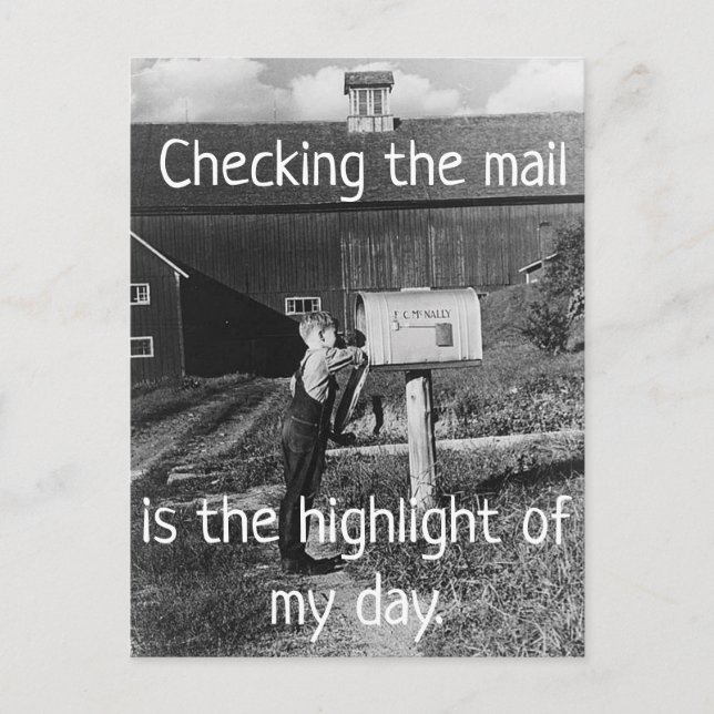 Carte Postale Checking the Mail - Highlight of My Day Postcard (Devant)