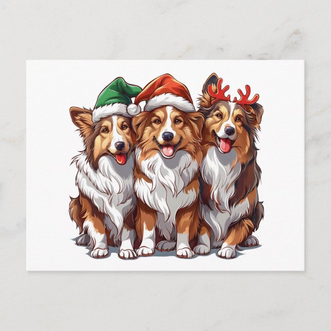 Carte Postale Cheepdogs de Noël Shetland (Devant)