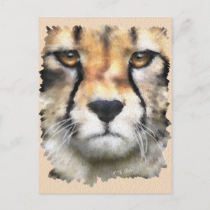 Carte Postale Cheetah