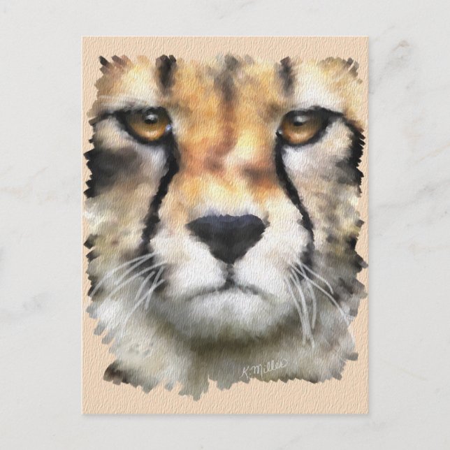 Carte Postale Cheetah (Devant)