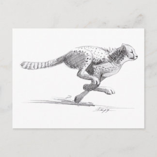 Carte Postale Cheetah
