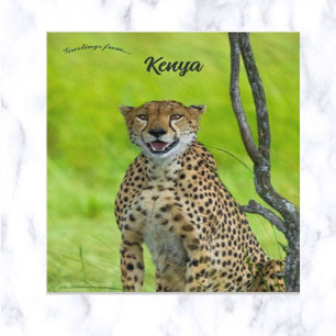 Carte Postale Cheetah au Kenya