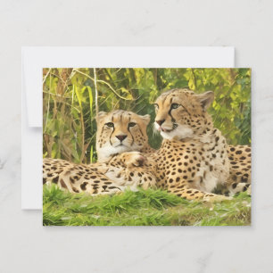 Carte Postale Cheetah Companions - Repos dans la nature